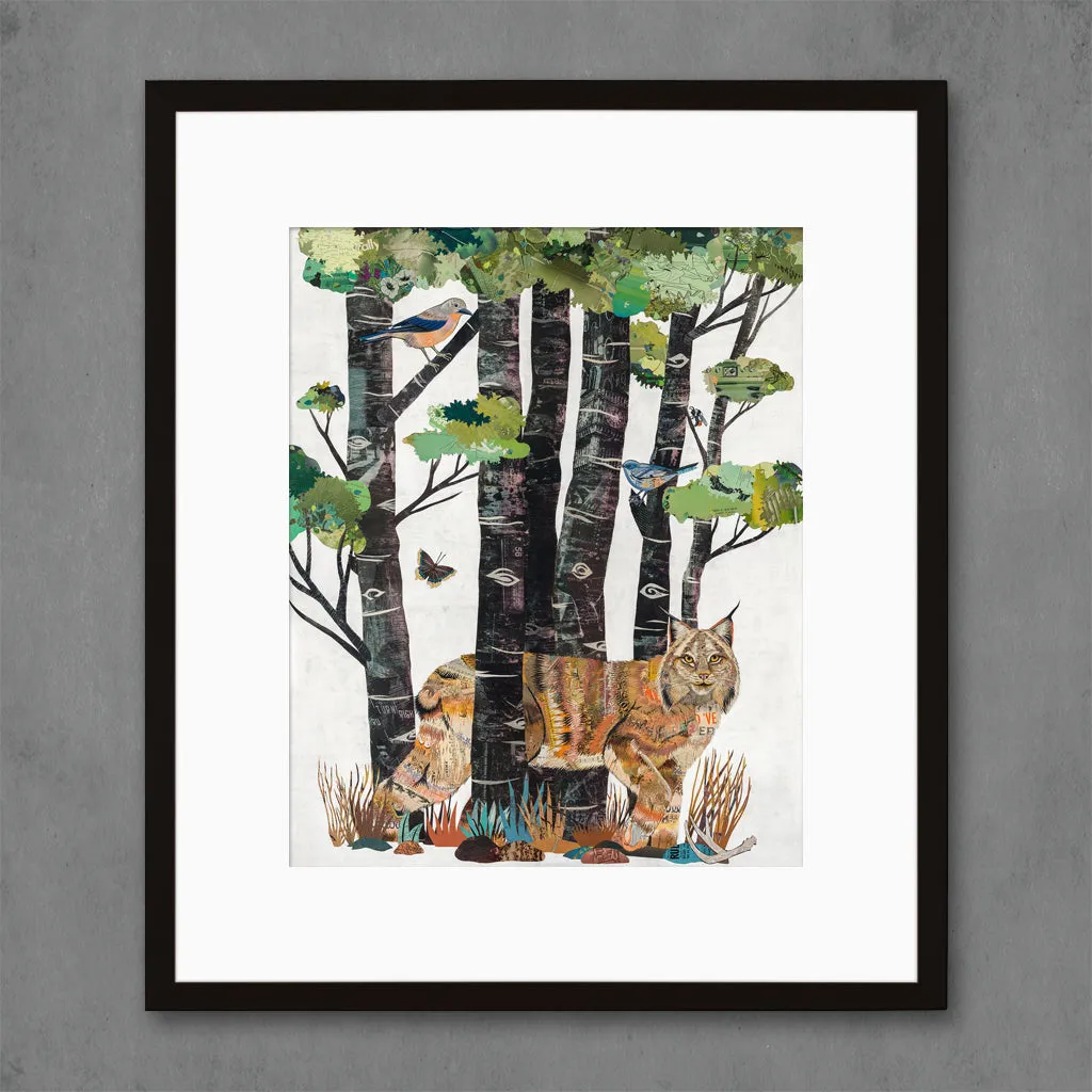 HIGH COUNTRY SUMMER (LYNX) limited edition paper print