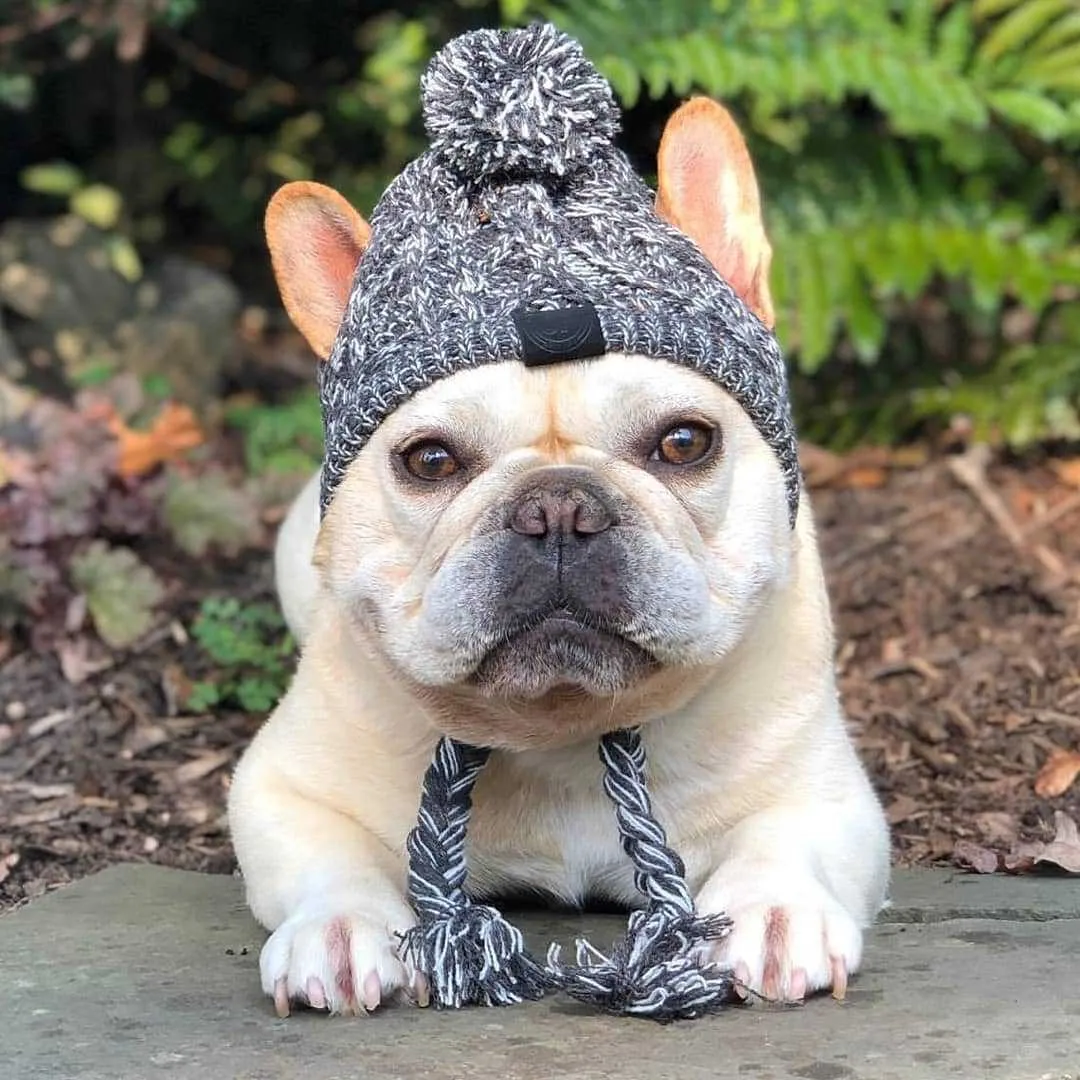 Winter Toque Hat