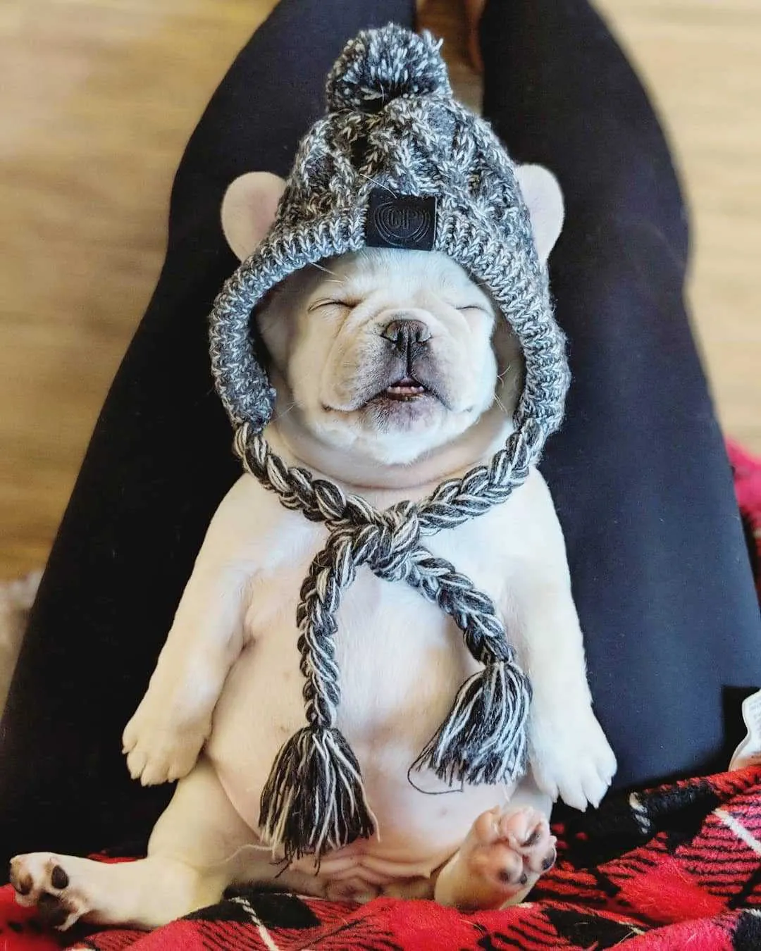 Winter Toque Hat