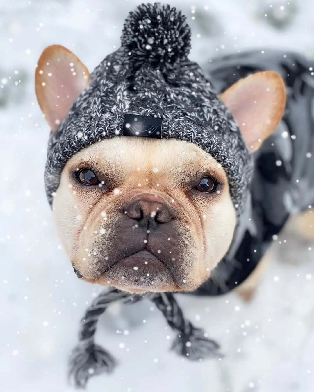 Winter Toque Hat