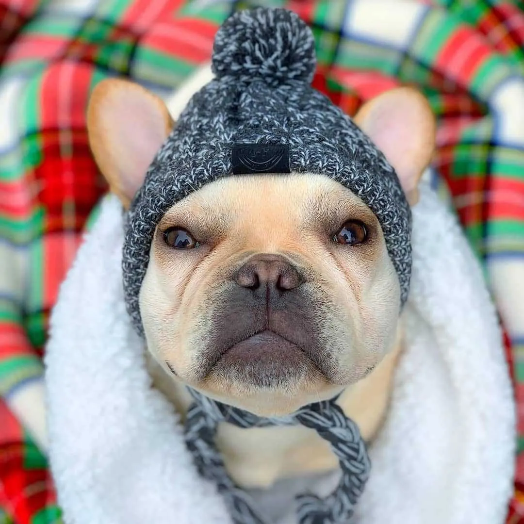 Winter Toque Hat