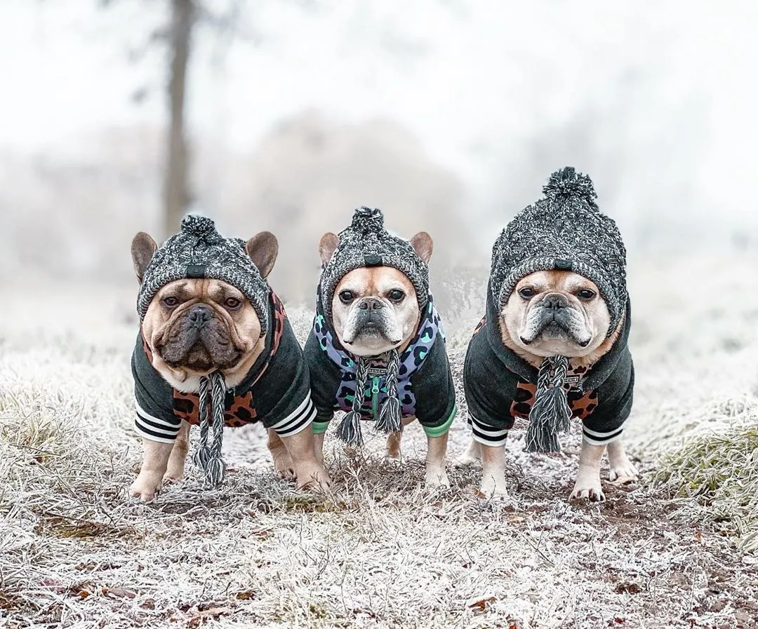 Winter Toque Hat
