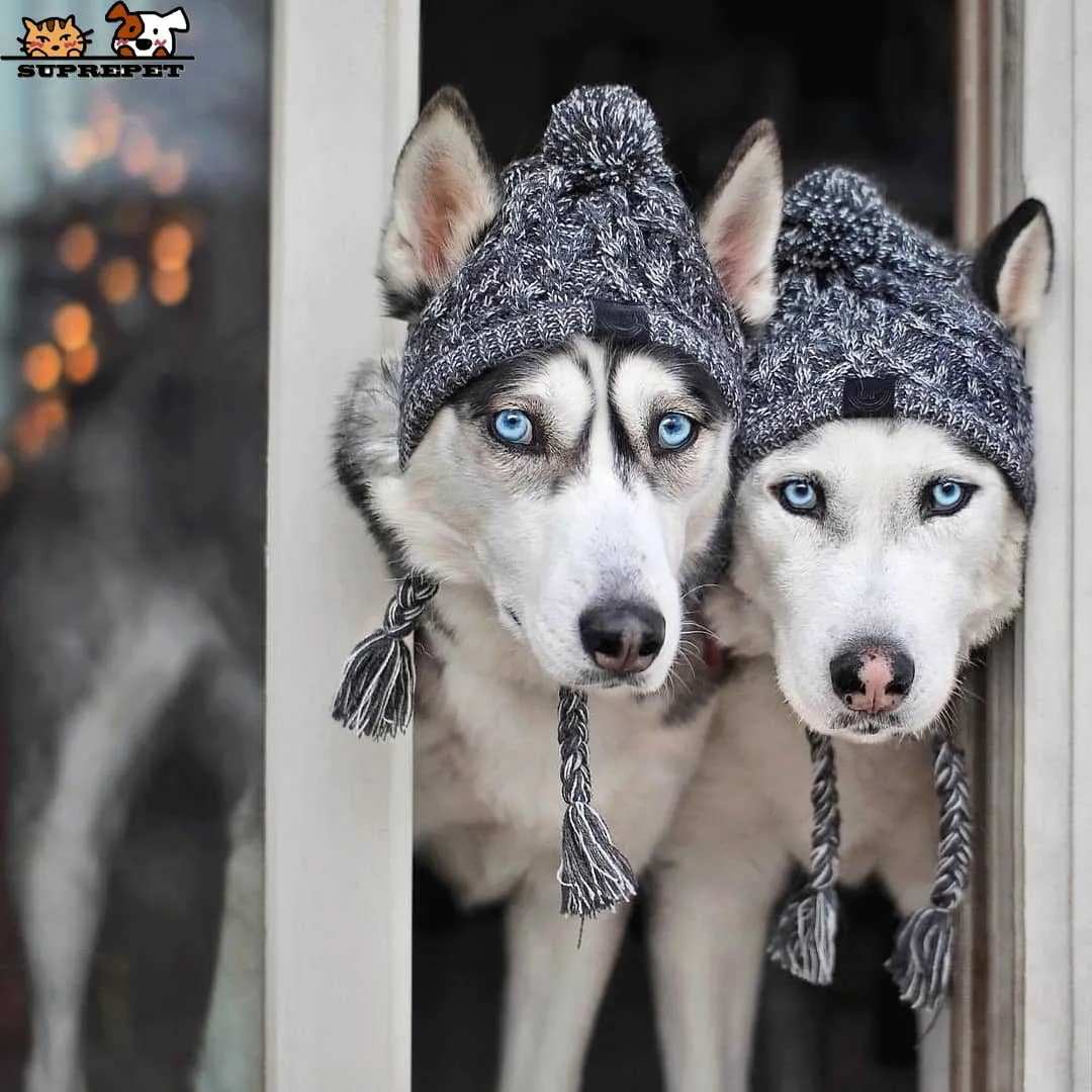 Winter Toque Hat