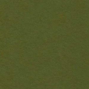 Wool Felt ~ Moss